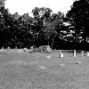 Gravestones in cemetery with trees in the background