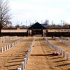 rows of white headstones leading to roofed monument