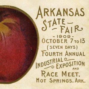 Apple on "Arkansas State Fair 1909" post card