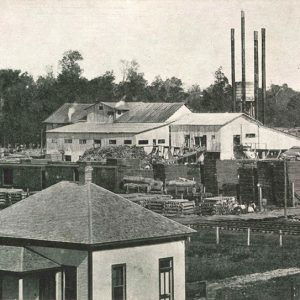 Stacks of lumber and industrial buildings with trees in the background