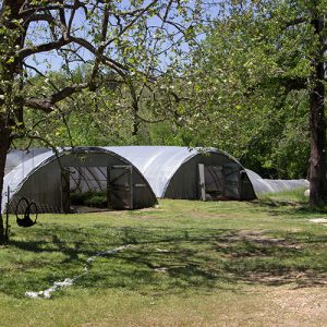 Two hemispherical green houses with trees in the foreground