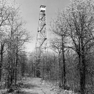 Tall fire tower in forest with bare trees