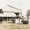 Stacks of cotton bales outside gin buildings with horse drawn wagon and two horses