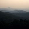 Tree covered foggy mountains seen from slightly elevated position