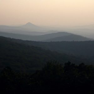 Tree covered foggy mountains seen from slightly elevated position