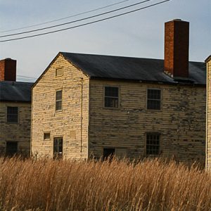 Weathered multistory buildings with brick chimneys with tall grass in the foreground