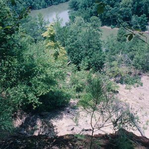 View of river and tree covered countryside from above