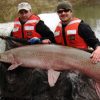 a photo of two white men in orange life vests with huge gar fish on boat in water and a drawing of four types of gar heads