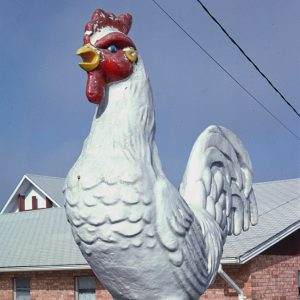 Chicken statue with brick building in the background