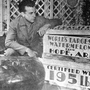 White man in suit jacket sitting with giant watermelon on "World's largest watermelon from Hope Arkansas certified weight 195 pounds" display