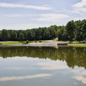 Trees and boat docks reflected in lake