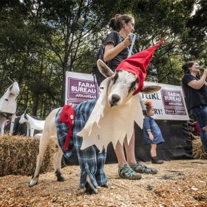 White woman and children dancing with goats in costumes