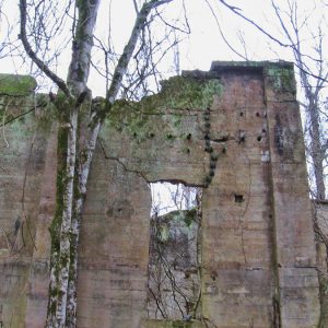 Crumbling and overgrown brick wall