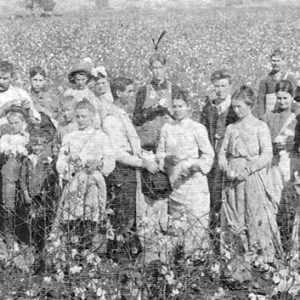 Group of white men women and children standing in cotton field