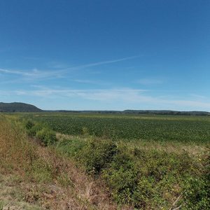 Multilane highway next to soybean fields with hills in the background