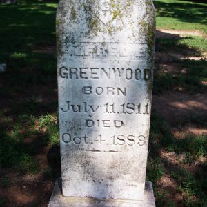 gravestone in shade with curved top and freemason symbol and words saying "Born July 11 1811 Died October 4 1889"