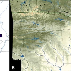 Maps of Arkansas showing grotto salamander habitats