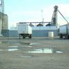 Semi-trucks and trailer parked outside large silos on parking lot with puddles