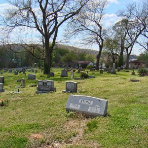 Rows of grave markers in field with bald trees and buildings and hills in background