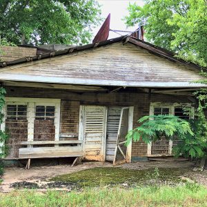 Dilapidated storefront with vines and trees around it