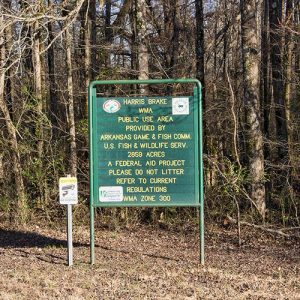 Green park sign with yellow lettering and trees behind it