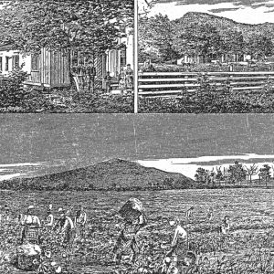 Engraving: Top, House with trees and wooden fence
Bottom, People working in a field with mountain behind them