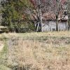 Side view of dilapidated barn behind trees in field