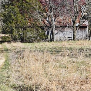 Side view of dilapidated barn behind trees in field