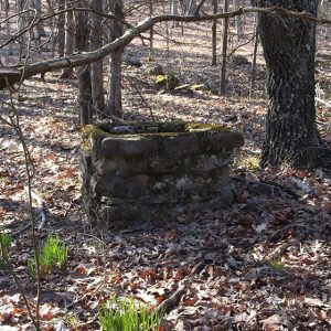 Abandoned brick well in forest with dead leaves on the ground