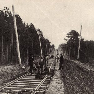 Men on railroad tracks with trees on both sides of the tracks