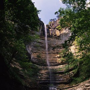 Natural waterfall and creek with trees