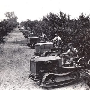 Line of white men on tractors in orchard