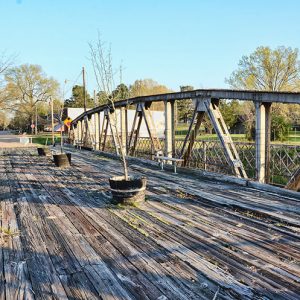 Trees growing in planters on wooden platform of steel arch bridge