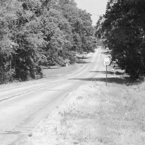 Tree-lined highway section with speed limit sign on the right side