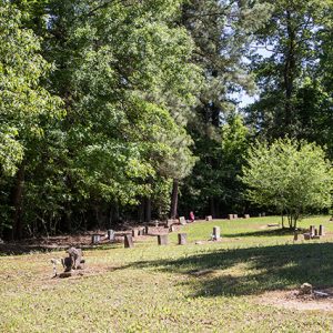 Small gravestones in cemetery with small tree in its center and larger trees around the edge