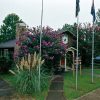 Single-story cabin like building with decorative plants and row of flag poles