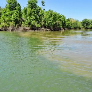 Meeting point of two rivers with tree-covered shore