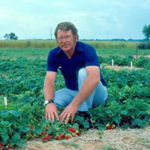 White man with mustache and glasses and blue shirt and pants sitting in a strawberry field with blue sky