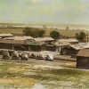 Single-story barracks with cars in parking lot