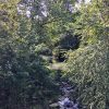 Creek with rocks in flowing water and trees surrounding it