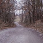 curved gravel road with autumn trees on both sides