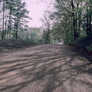 gravel road with trees on both sides