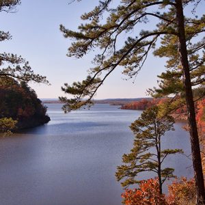 Looking through trees at lake with tree covered shores