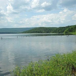 Lake with green foliage and blue skies