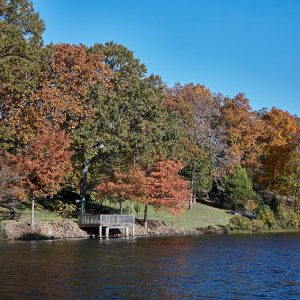 Looking across lake with dock on shore under autumn trees