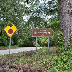 Road signs on right side of two-land highway in forested area