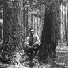 White man in tie kneeling between two trees in wooded area