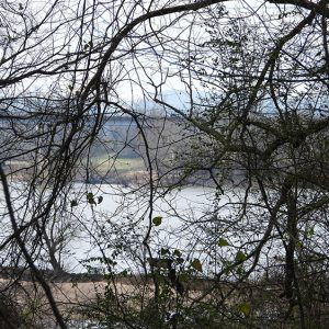 River and concrete bridge as seen through trees