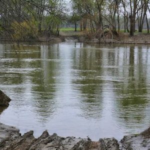 River with tree covered shore in the background