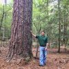 White man in green shirt and blue jeans leaning against a tall tree in forest